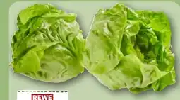 REWE Rewe Regional Kopfsalatherzen Angebot
