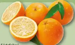 REWE Orangen Angebot