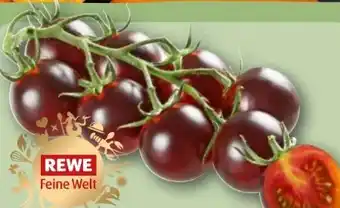 REWE Rewe Feine Welt Schwarze Mini Rispentomaten Angebot