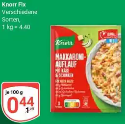 Globus Knorr Fix Angebot