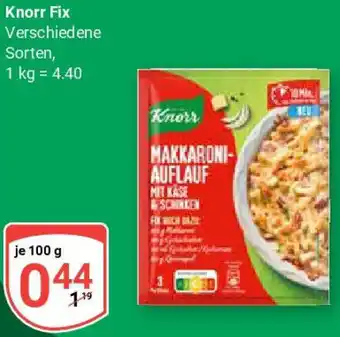 Globus Knorr Fix Angebot