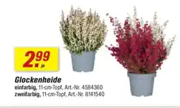 toom Baumarkt Glockenheide Angebot
