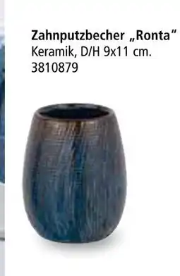 Segmüller Zahnputzbecher ronta Angebot