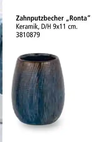 Segmüller Zahnputzbecher ronta Angebot