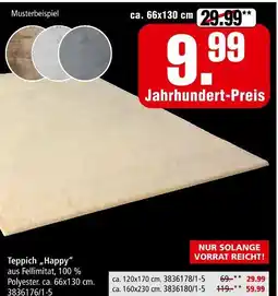 Segmüller Teppich 'happy' Angebot