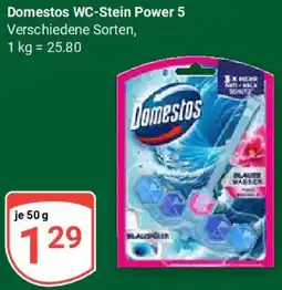 Globus Domestos WC-Stein Power 5 Angebot