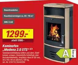 toom Baumarkt Kaminofen ..Modena 2.0 STS" Angebot