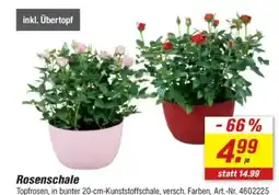 toom Baumarkt Rosenschale Angebot