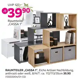 Mömax Raumteiler cassa 1 Angebot