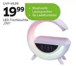 Mömax Led-tischleuchte „ovi“ Angebot