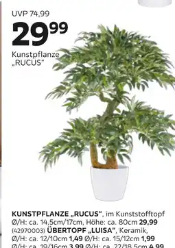 Mömax Kunstpflanze „rucus“ Angebot