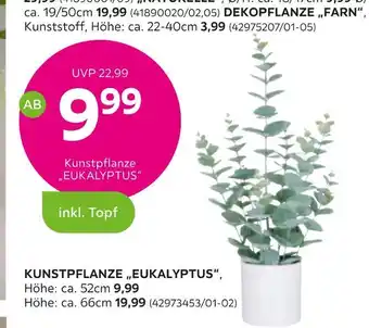 Mömax Kunstpflanze „eukalyptus“ Angebot