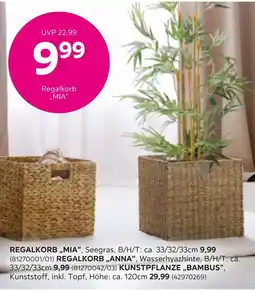 Mömax Regalkorb 'mia' Angebot