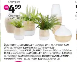 Mömax Übertopf naturelle Angebot