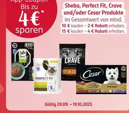 Rossmann App-coupon Angebot