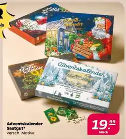 NETTO Adventskalender Saatgut Angebot