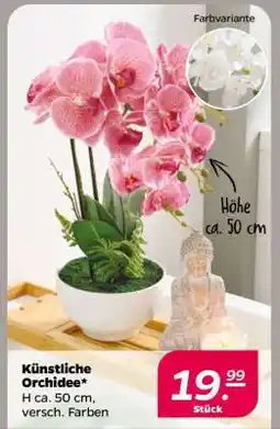 NETTO Künstliche Orchidee Angebot