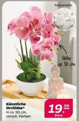 NETTO Künstliche Orchidee Angebot