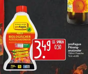 WEZ proFagus Flüssiganzünder 750ml Angebot