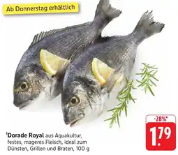 Edeka Neukauf Dorade Royal Angebot
