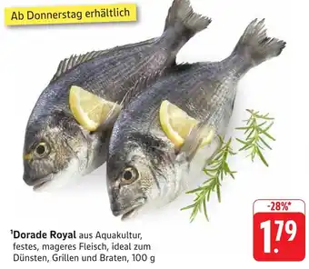 Edeka Neukauf Dorade Royal Angebot