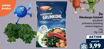 Aktiv Irma Elo Oldenburger Grünkohl Angebot