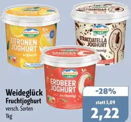 Aktiv Irma Weideglück Fruchtjoghurt Angebot