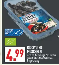 Marktkauf Sylter bio muscheln Angebot