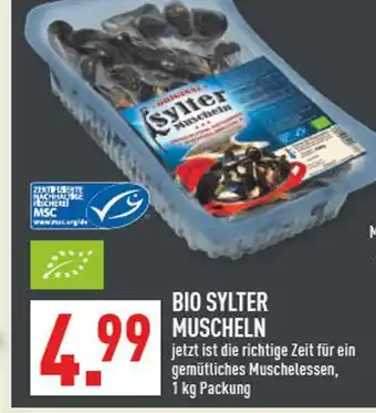 Marktkauf Sylter bio muscheln Angebot