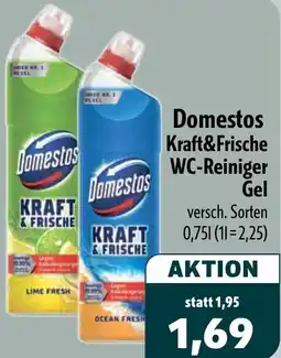 Aktiv Irma Domestos Kraft&Frische WC-Reiniger Gel Angebot