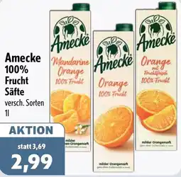 Aktiv Irma Amecke 100% Frucht Säfte Angebot