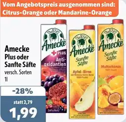 Aktiv Irma Amecke Plus oder Sanfte Säfte Angebot
