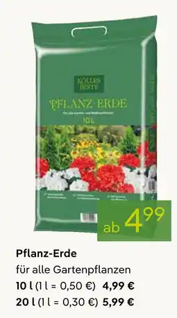 Pflanzen Kölle Pflanz-erde Angebot