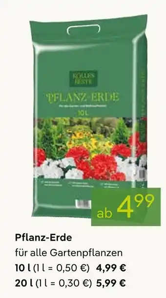 Pflanzen Kölle Pflanz-erde Angebot