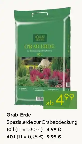 Pflanzen Kölle Grab-erde Angebot