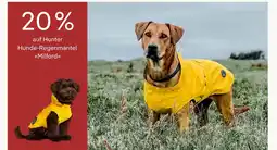 Pflanzen Kölle 20 % rabatt Angebot