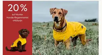 Pflanzen Kölle 20 % rabatt Angebot