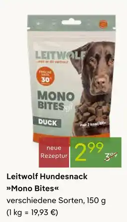 Pflanzen Kölle Leitwolf mono bites Angebot