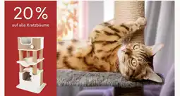 Pflanzen Kölle 20 % rabatt Angebot
