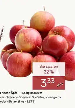 Pflanzen Kölle Frische äpfel Angebot