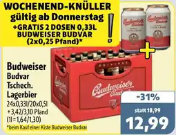 Aktiv Irma Budweiser Budvar Tschech. Lagerbier Angebot