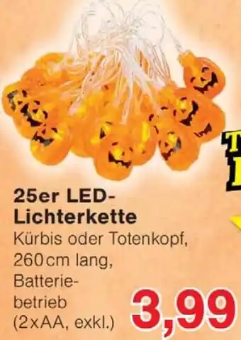 Wiglo Wunderland 25er LED Lichterkette Angebot