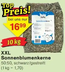 Wiglo Wunderland XXL Sonnenblumenkerne Angebot