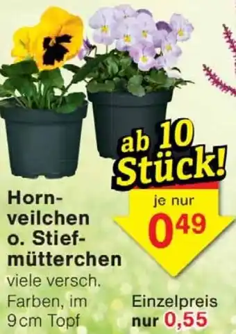 Wiglo Wunderland Hornveilchen o. Stiefmütterchen Angebot