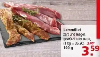 Multi Markt Lammfilet Angebot