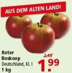 Multi Markt Roter Boskoop Angebot