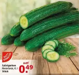 Multi Markt GUT & GÜNSTIG Salatgurken Angebot