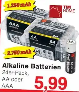 Wiglo Wunderland TIM HOME Alkaline Batterien Angebot