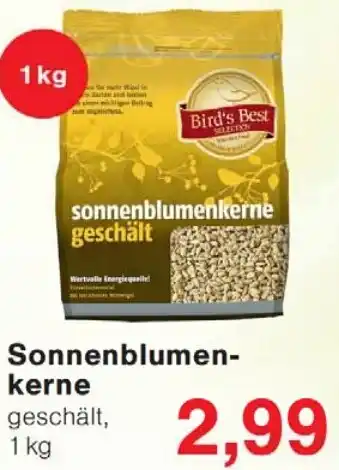Wiglo Wunderland Sonnenblumenkerne Angebot