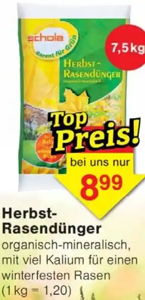 Wiglo Wunderland Schola Herbst Rasendünger Angebot